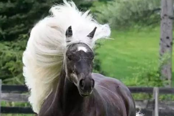 新澳四不象,城乡规划_YEI94.946共享版