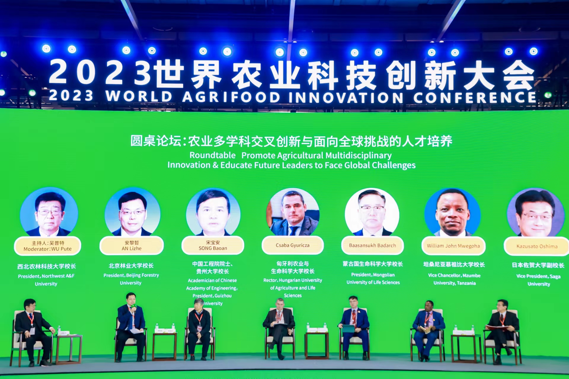 2023澳门资料,创新策略执行_KZE94.171创意版