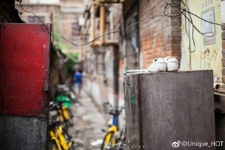 天津硬线最新价格,小巷深处的探秘之旅