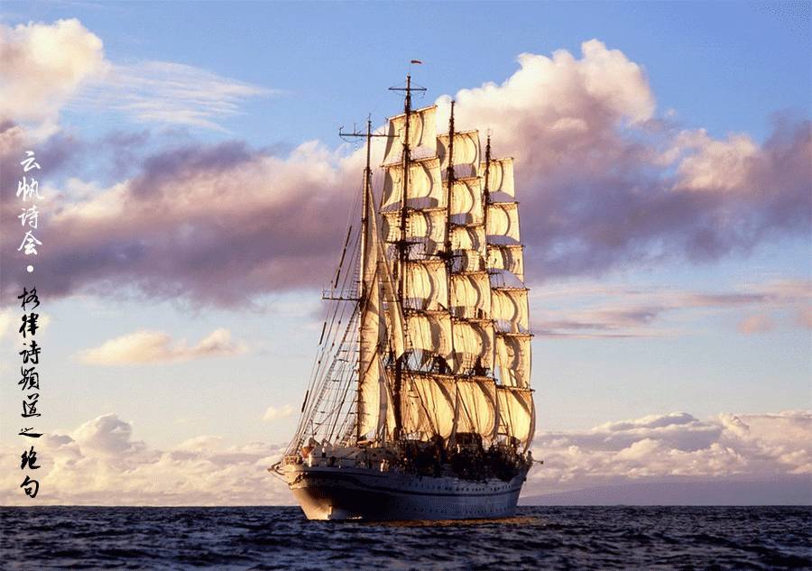 南三岛最新规划,乘风破浪,扬帆起航,开启学习变革之旅