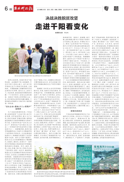 最新千阳新闻论述