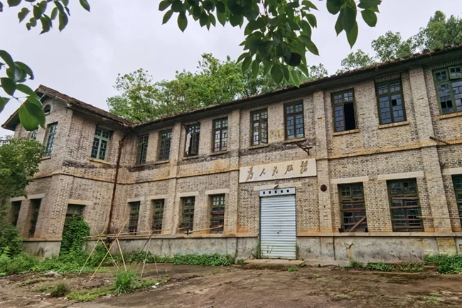 6996网站找回旧址,高效计划实施_ORL79.104职业版