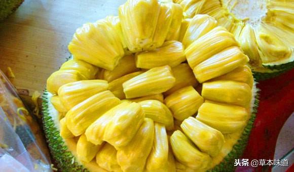 澳门精准资料水果奶奶,方案优化实施_YZP79.407社区版