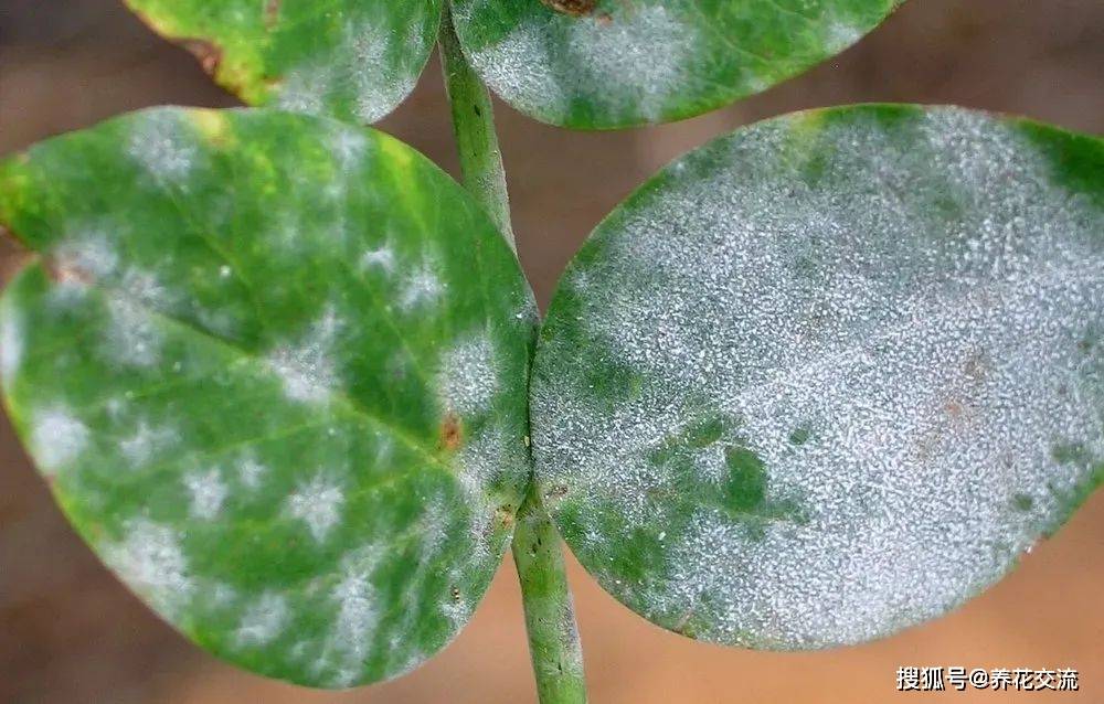 咿富邦最新动态,如何完成某项任务或学习某种技能的详细步骤指南