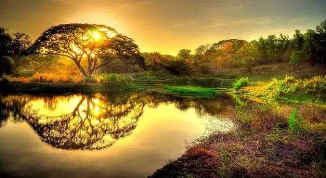 温心最新图片仙女,一场自然美景的探索之旅