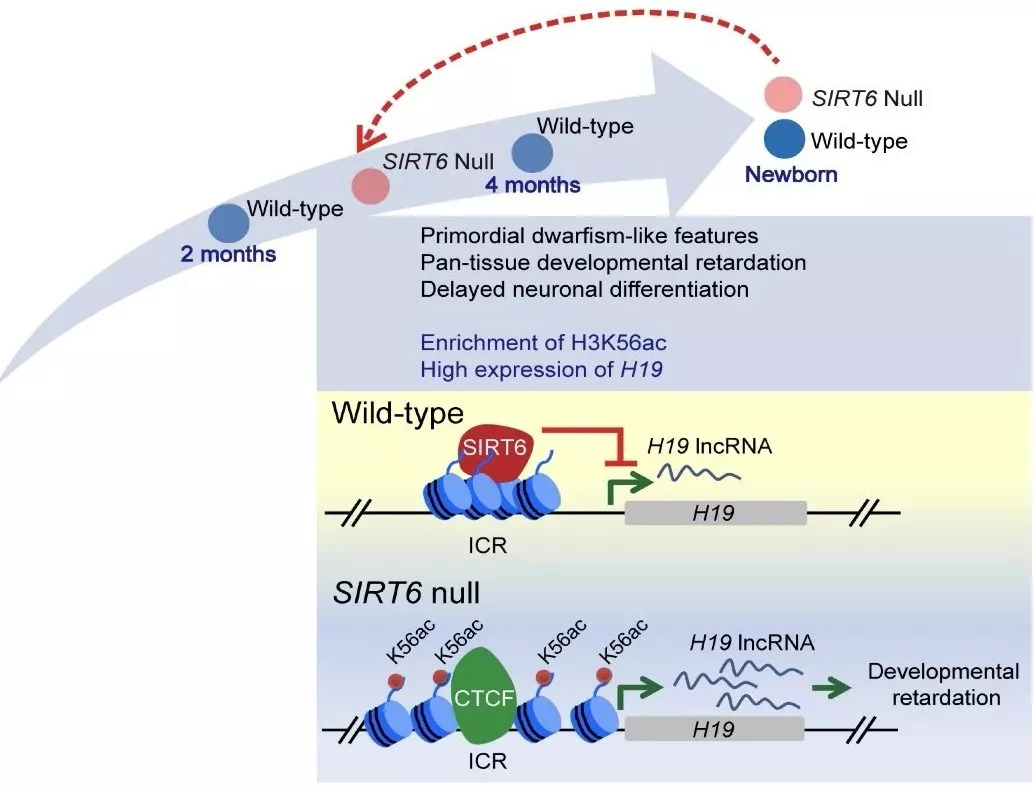 一码一肖必中特,科学解说指法律_BEH79.181媒体版