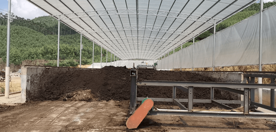 最新保育舍的建设,打造舒适、安全、高效的养殖环境