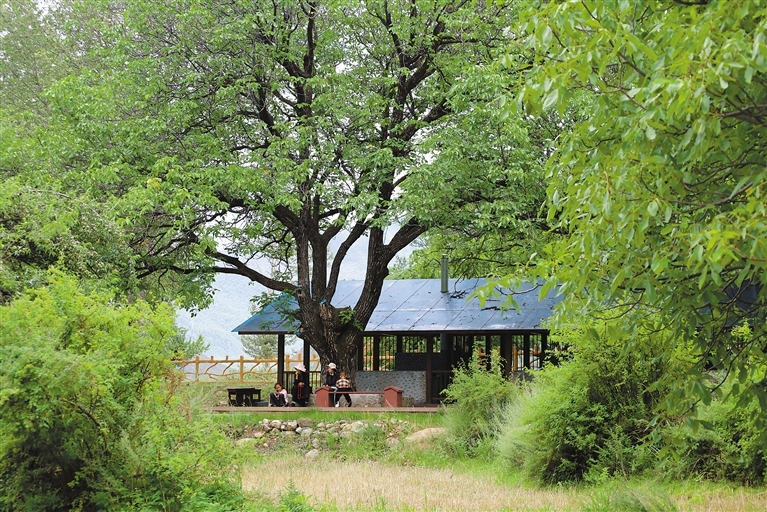 香樟店下最新信息,探索自然美景的旅行,寻找内心的平和