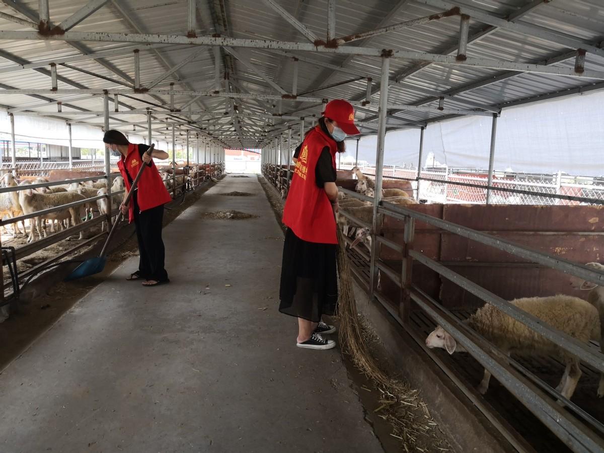 亳州最新号码出售,一段关于友情与陪伴的温馨故事