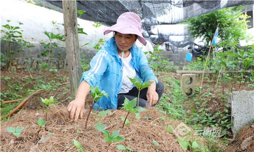 最新农用工具批发与乡间的温情故事