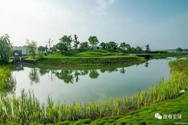 肥东盛开最新情况,一场自然美景的探索之旅
