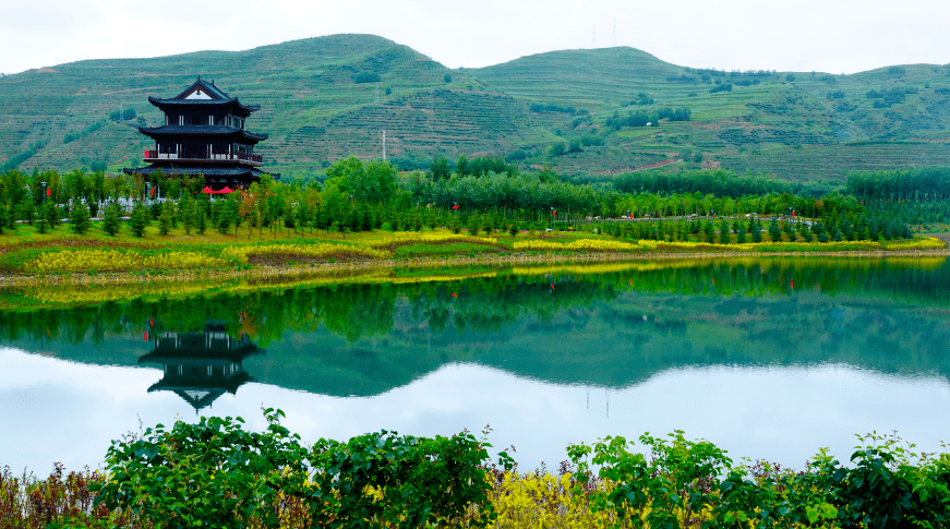 肥东盛开最新情况,一场自然美景的探索之旅