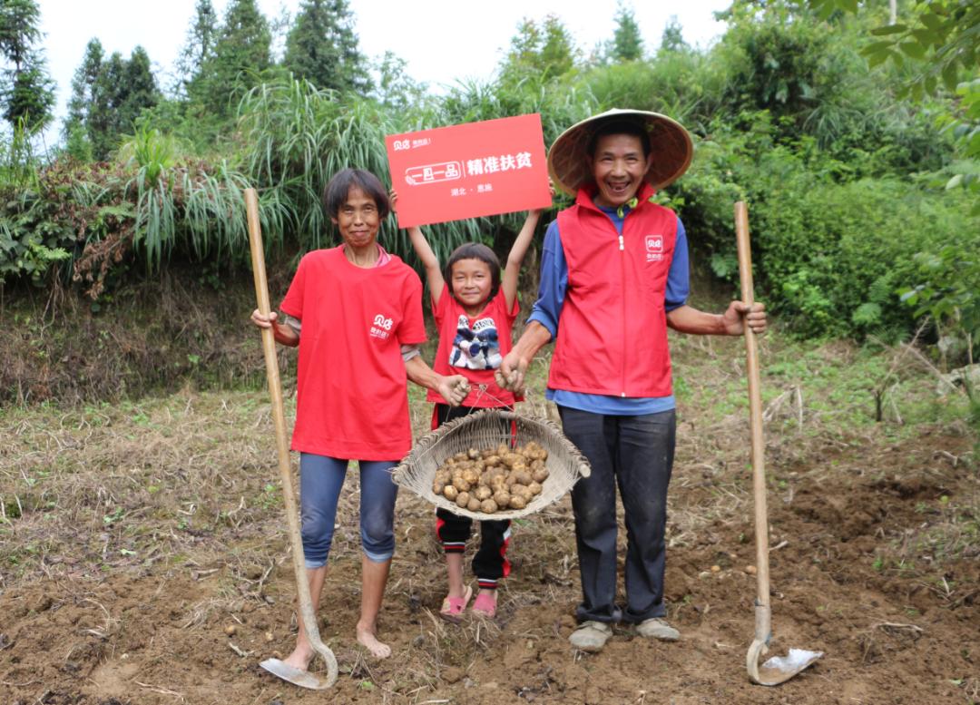 土豆最新品种,一场自然美景的土豆探索之旅