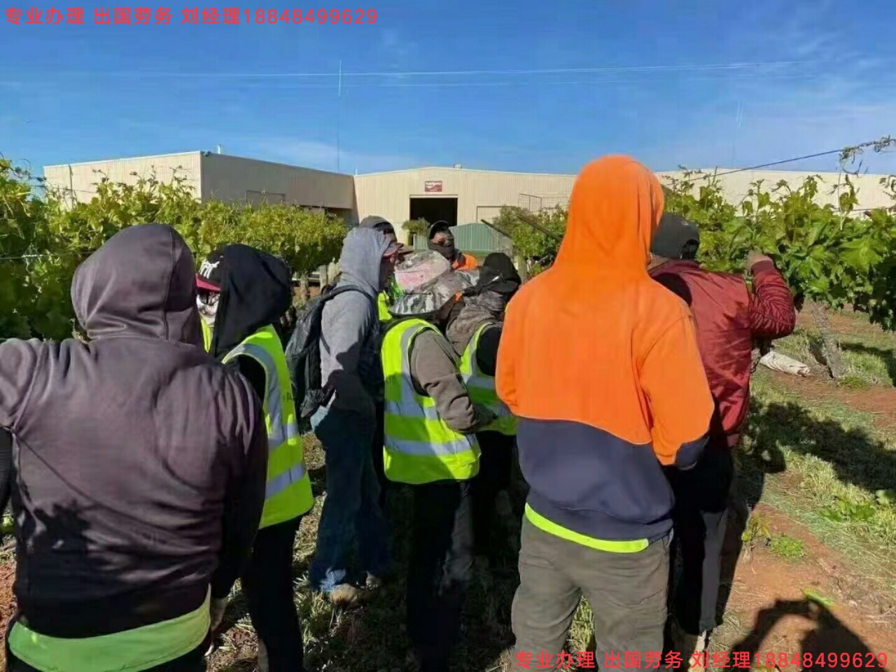 山东最新以色列找工信息概览