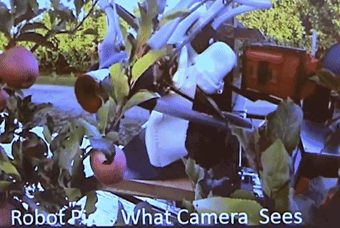 Mike微博最新动态,聚焦科技前沿,分享生活点滴