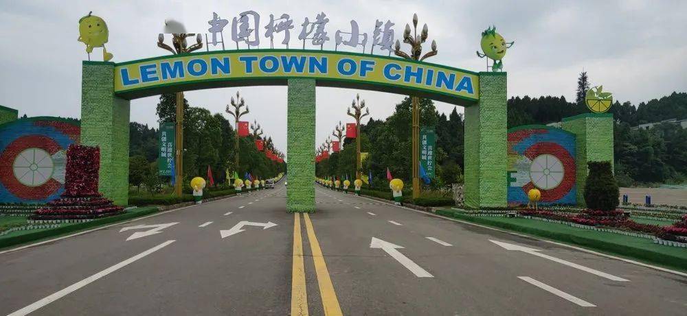 淄博柠檬小镇最新动态,励志之光照亮柠檬之疆