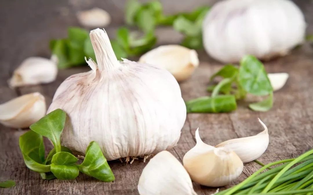 河南大蒜产地最新价格,一场寻找内心平静的绿意之旅