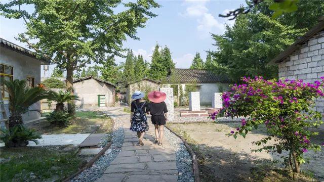 162旅最新情况概览