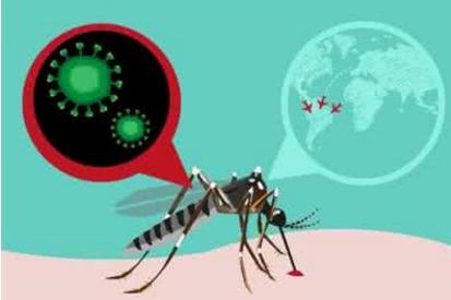 新加坡寨卡最新疫情,一场自然美景的探索之旅