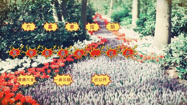 2024年一肖一码一中一特,安全性方案执行_MYK79.501多媒体版