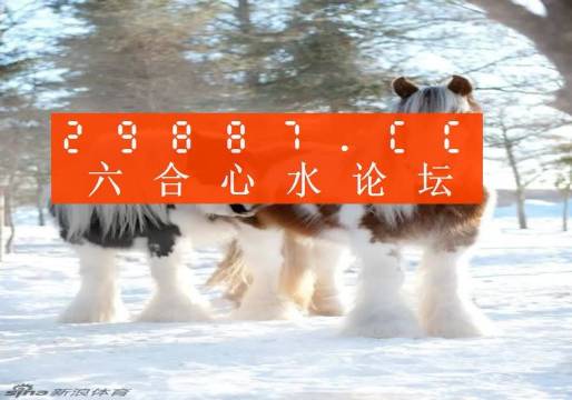 今晚四不像必中一肖图3,实地验证研究方案_NDH79.794加速版