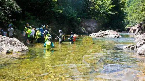 南下河最新招工,一场探索自然美景的旅行邀请