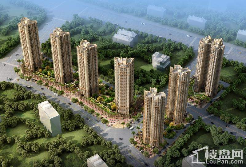 大唐听海最新动态