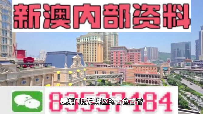 新澳内部资料精准一码波色表,动态解读分析_DZB79.849旅行者特别版