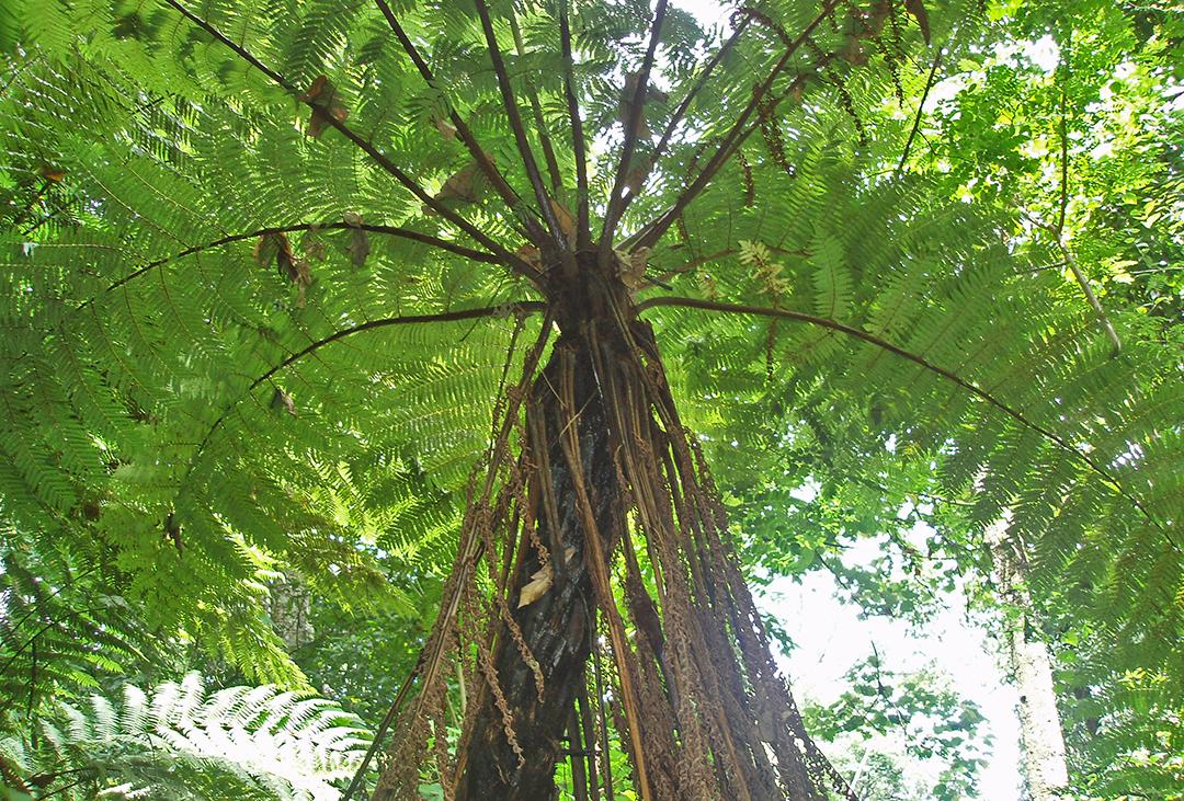 2024年资料免费大全,快速设计问题解析_OP51.833