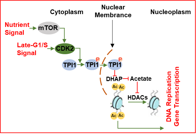 南川最新干部调整步骤指南