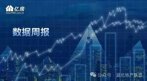 2024新奥历史开奖记录香港,全面数据应用执行_Device33.780