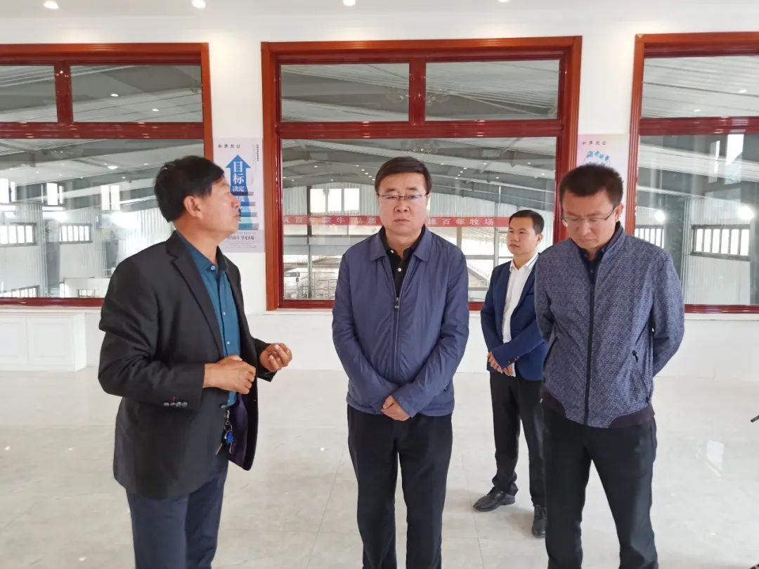 新澳内部高级资料,实地数据分析方案_The77.593