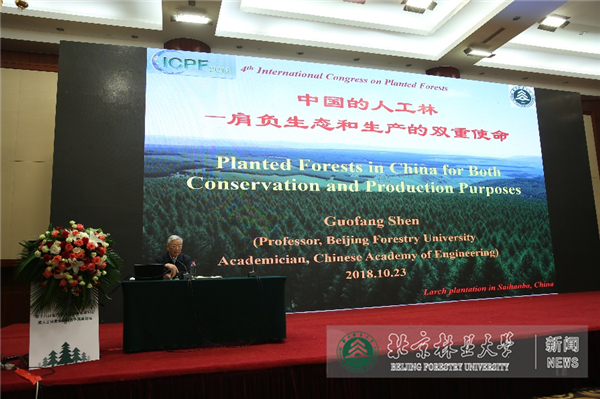 新澳精准资料免费提供濠江论坛,正确解答落实_Premium16.589