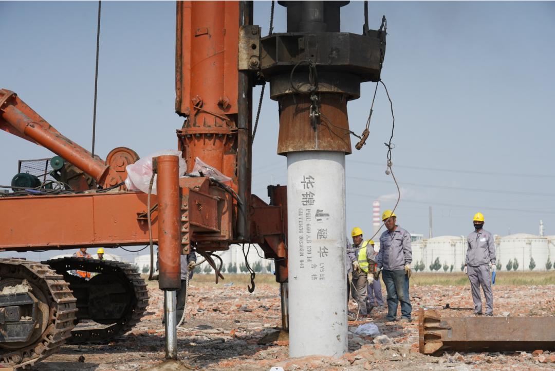 2024新奥资料免费49图库,连贯评估执行_HarmonyOS81.837