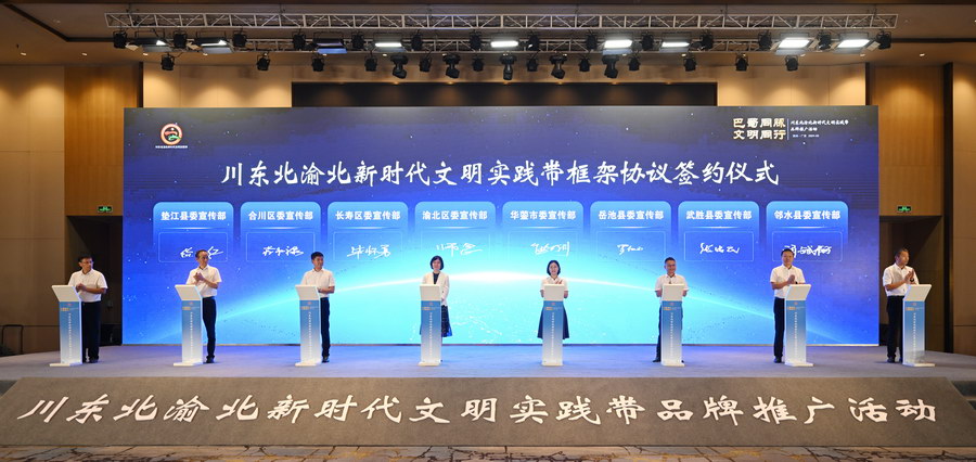 新澳门最精准正最精准龙门,整体执行讲解_W94.182