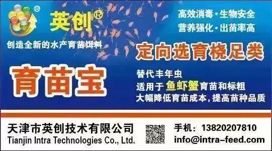 广东八二站资料大全正版,可持续实施探索_精装版18.418