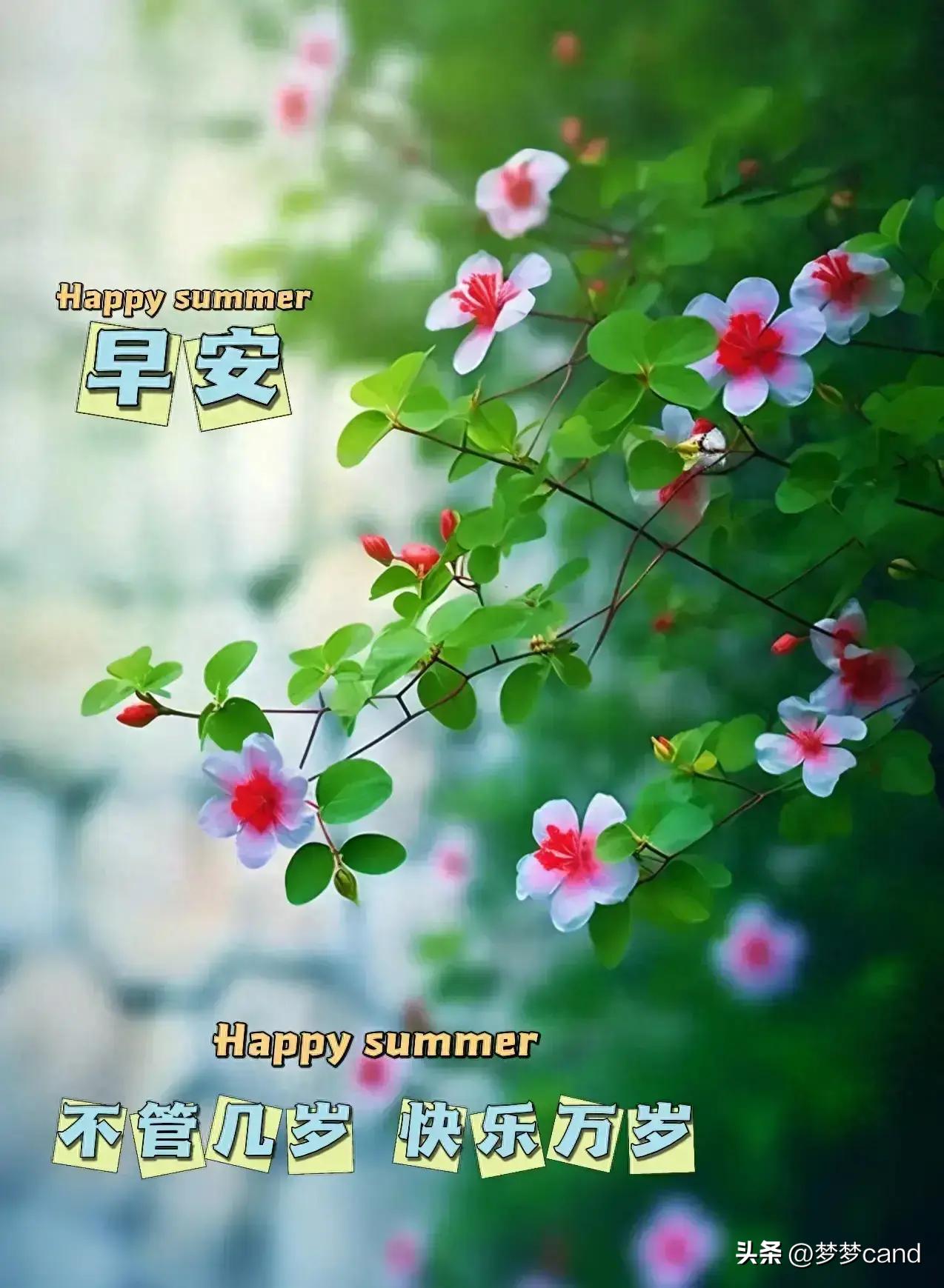 2024天天彩正版资料大全,最新调查解析说明_尊享版31.363