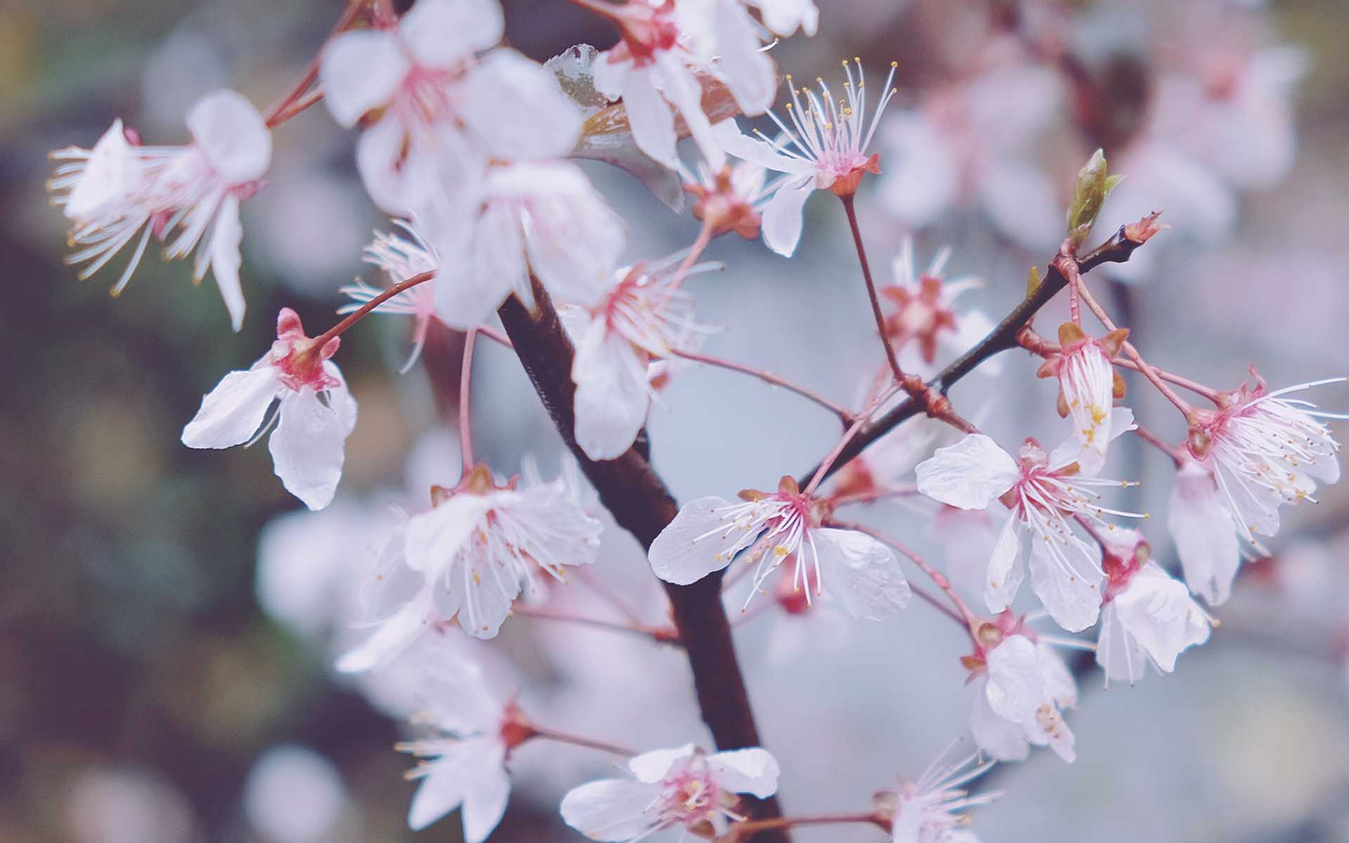 今天晚上澳门三肖兔羊蛇,准确资料解释落实_桌面款10.483