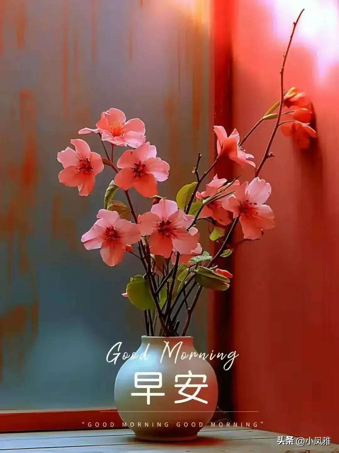 2024天天彩全年免费资料,数据驱动执行方案_探索版59.398