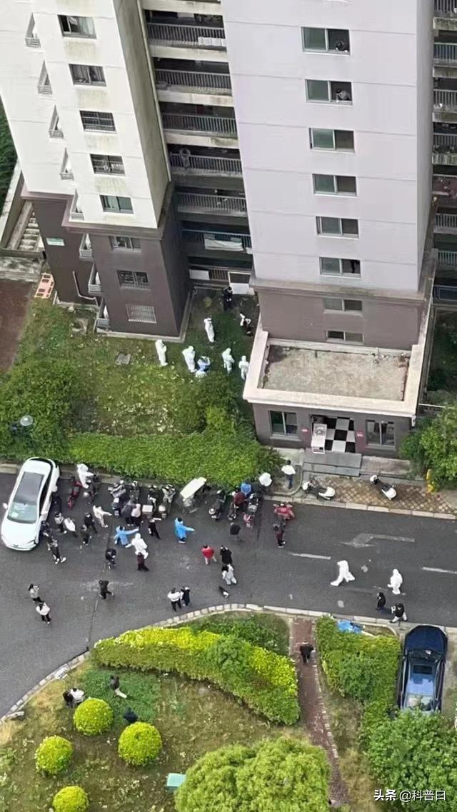 上海刚刚发生一起坠楼事件,重要性解释落实方法_ios56.145