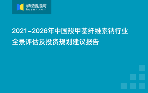 澳门100%最准一肖,稳定性计划评估_Holo50.111