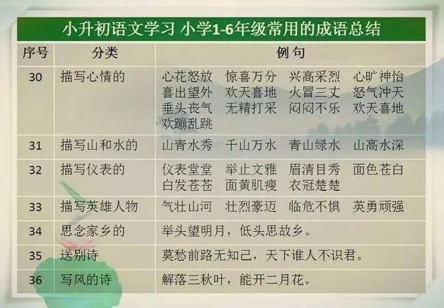 2024澳门天天开好彩精准24码,收益成语分析落实_铂金版25.365
