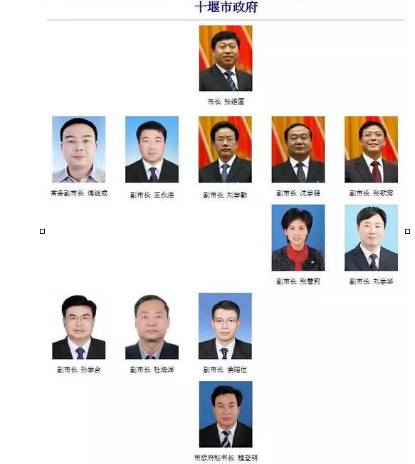 最新湖北籍部级官员概览与了解,步骤指南