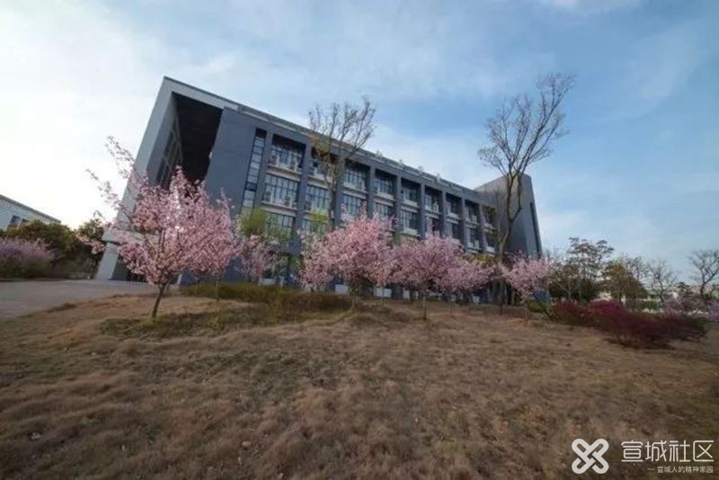 合工大宣城校区最新,一场自然美景的探索之旅