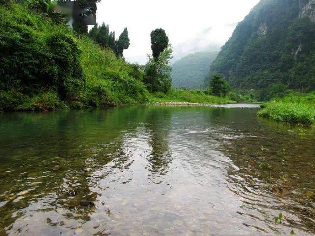 兖州最新的钓鱼地点,探寻小巷中的垂钓天堂