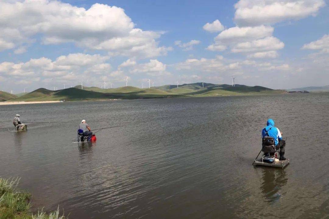 兖州最新的钓鱼地点,探寻小巷中的垂钓天堂