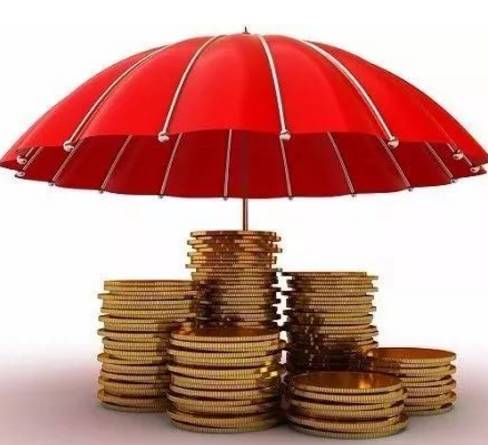 今年鹩哥出售最新信息,多方观点分析与个人立场阐述