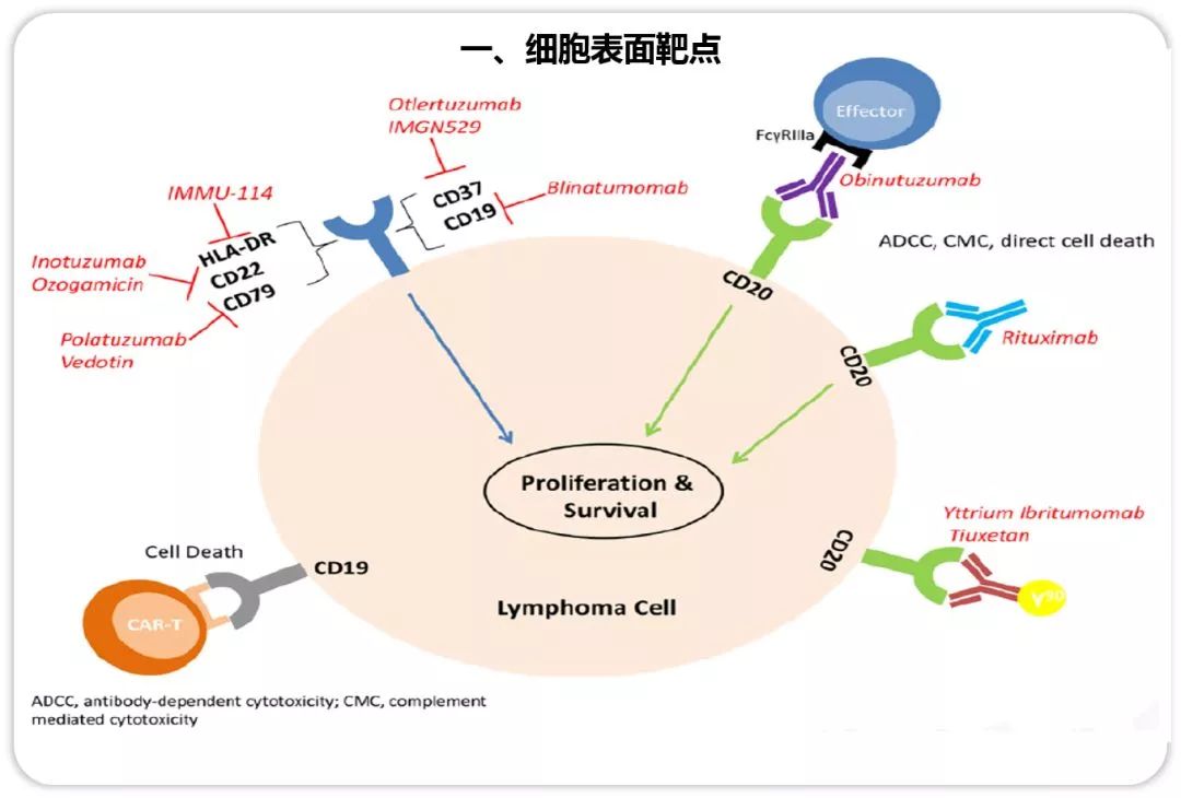 2024澳门精准跑狗图,理论考证解析_RNA23.363可靠版