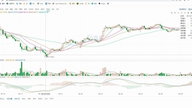 2024澳门精准跑狗图,理论考证解析_RNA23.363可靠版