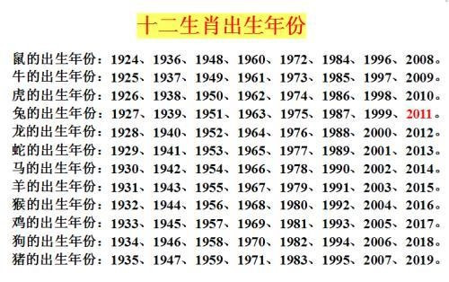2024十二生肖49码表,快速实施解答研究_TTY23.977竞技版